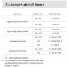 Gázrúgó ágy vasalatra 750 N,360 mm