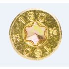 TK-RAPI-TEC HBS 8x100mm bes.TX40